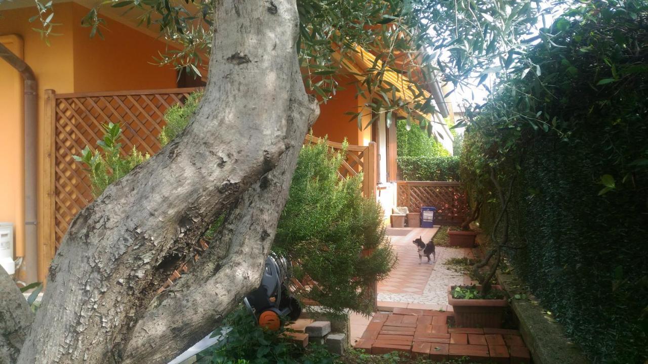 Nido Di Dafne Villa Provaglio d'Iseo Ngoại thất bức ảnh